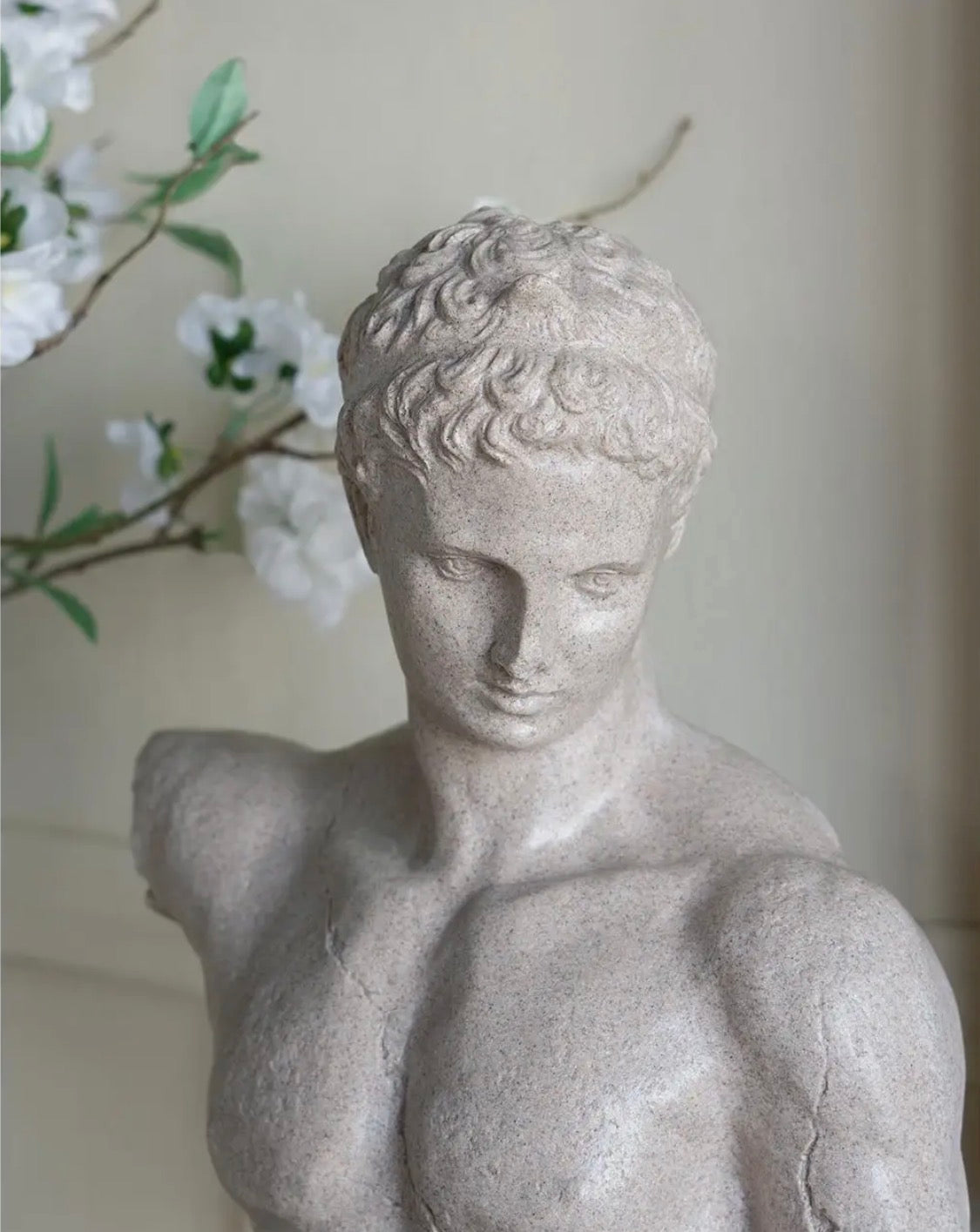 Aurelius Classical Bust