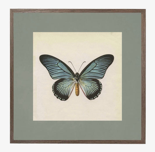 Vintage Butterfly No. 1