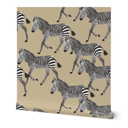 Savanna Zebra Wallpaper