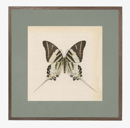 Vintage Butterfly No.2